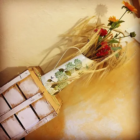 La Casa Della Nonna